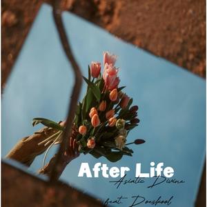 After Life (feat. Doeskool)
