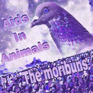 Aids in Animals (Explicit)