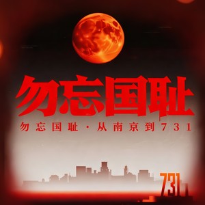 勿忘国耻：从南京到731-陈文献