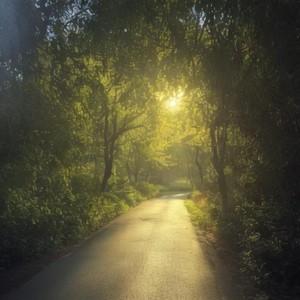 GL - 烟花易冷 (走心版)