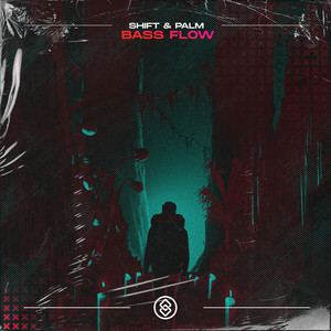 Bass Flow (Extended Mix)