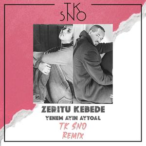 Yenem Ayin Aytoal (TK SNO Remix)