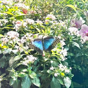 LONG WAY HOME (feat. tonytwochoppas) (Explicit)