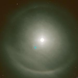 Seamless (Bonus Track)