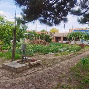 小时候总避免不了孤独