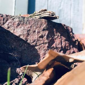 Save Your Tears (feat. Systovis) (Explicit)