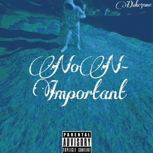 NON-Important (Explicit)