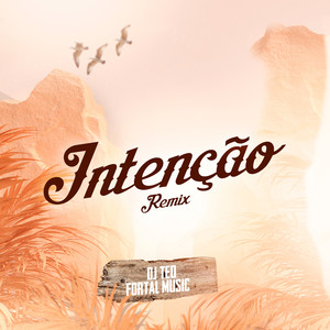 Intenção (Remix)