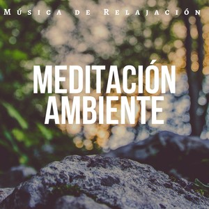 Meditación Ambiente - Música de Relajación, Música de Reiki, Sonidos para la Libertad Mental