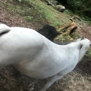 twenty three (feat. Llondon actress) (Explicit)