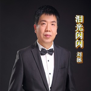 泪光闪闪 (伴奏)