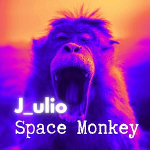 Space Monkey