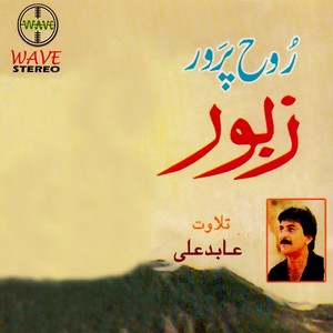 Rooh Parwer Zaboor, Vol. 1