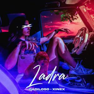 Ladra (feat. Xinex) [Explicit]