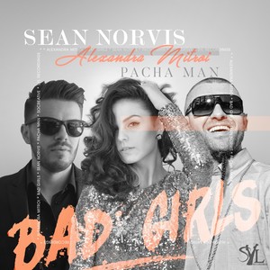 Bad Girls (Instrumental Mix)