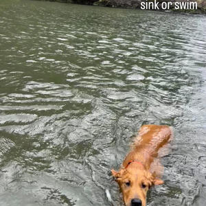 Sink Or Swim (feat. King Theta) (Explicit)