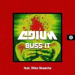 Buss It (feat. Riiko Skaacha)