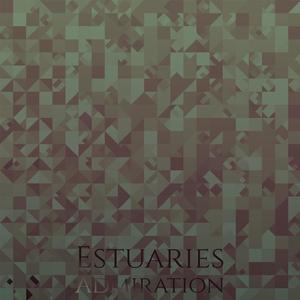 Estuaries Admiration