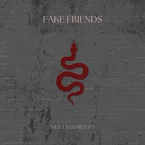 Fake Friends (Explicit)