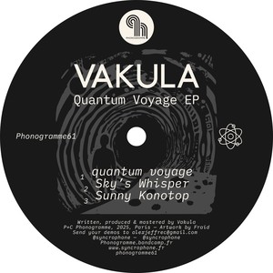 Quantum Voyage