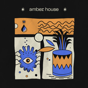 Amber House