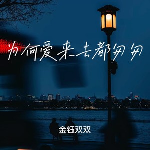 为何爱来去都匆匆