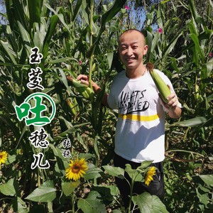 玉茭吐穗儿