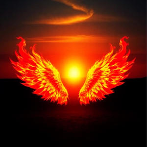 Fly towards the Sunset