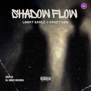 SHADOW FLOW (Explicit)