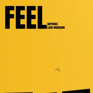 Feel (feat. Liam Ingraham)