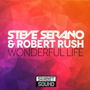 Wonderful Life (Dirtydisco Remix)