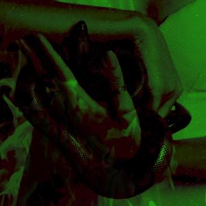 venom in your scars (feat. pillow1x) (Explicit)