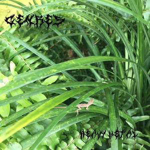 Heavy Metal (Explicit)