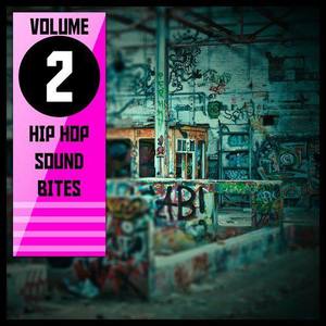 "Hip Hop Sound Bites,Vol.2"