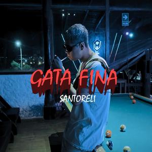 Gata Fina (Explicit)