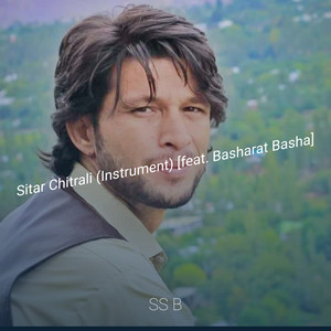 Sitar Chitrali