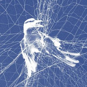 turn the lights down (Explicit)