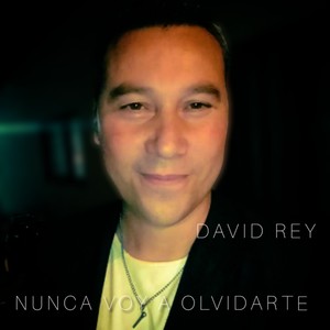 Nunca voy a olvidarte (En Vivo)