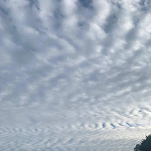 CASH HOUND (Explicit)