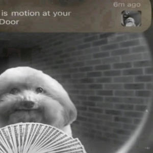 PERFECT (feat. Lil Var) (Explicit)