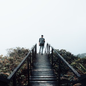 Vibrations Of The Bass