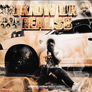 Vs & Cats (Babyfxce E & 7Mile WB) (Explicit)