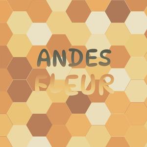 Andes Fleur