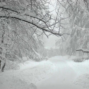 blizzard (makkgin) (feat. luhcam) (Explicit)