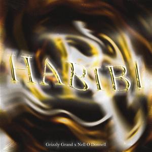 Habibi (feat. Nell O'Donnell)