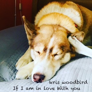 If I am in love with you