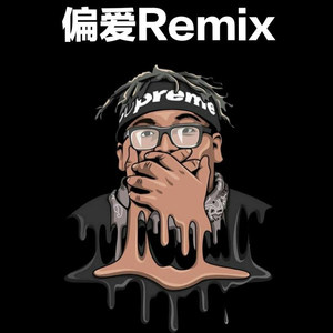偏爱REMIX
