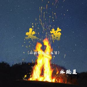 火苗(你的爱就像火苗)