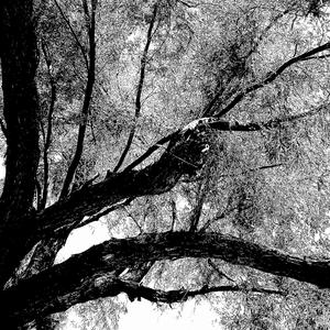 Every Love Story Is A Tragedy If You Wait Long Enough (Explicit)