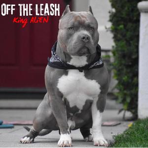 Off The Leash (violence) (Explicit)